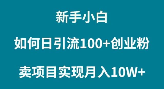 新手小白如何通过卖项目实现月入10W+-选优云网创