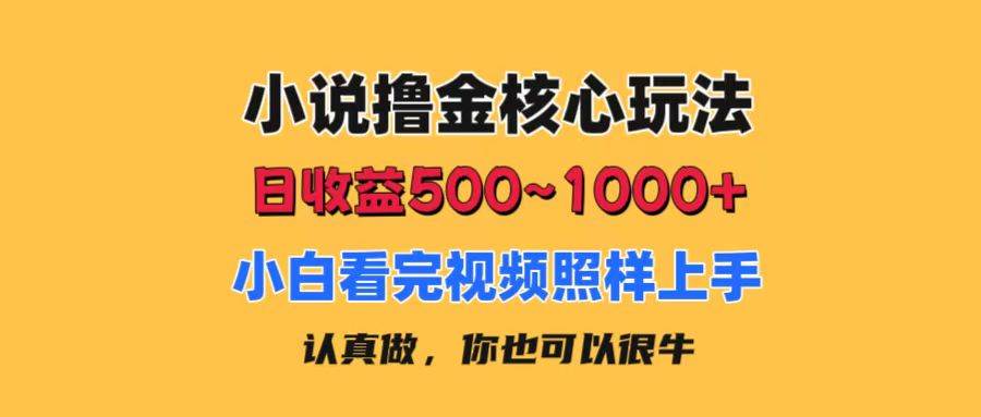 小说撸金核心玩法，日收益500-1000+，小白看完照样上手，0成本有手就行-选优云网创