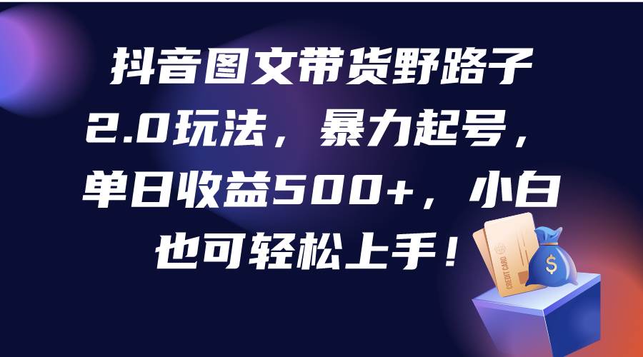 抖音图文带货野路子2.0玩法，暴力起号，单日收益500+，小白也可轻松上手！-选优云网创