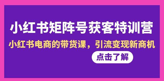 小红书-矩阵号获客特训营-第10期，小红书电商的带货课，引流变现新商机-选优云网创