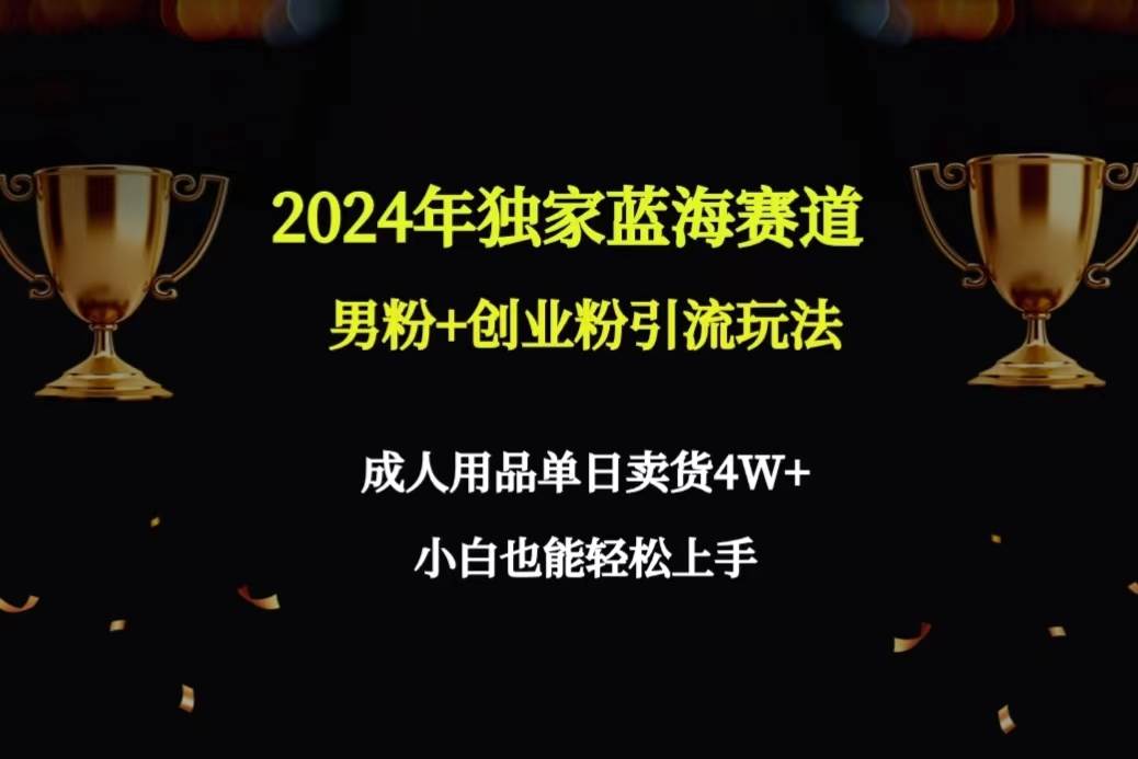 2024年独家蓝海赛道男粉+创业粉引流玩法，成人用品单日卖货4W+保姆教程-选优云网创