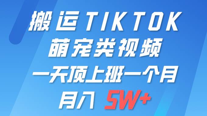 一键搬运TIKTOK萌宠类视频 一部手机即可操作 所有平台均可发布 轻松月入5W+-选优云网创