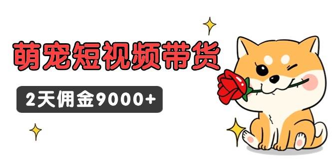 东哲日记·萌宠短视频带货，2天佣金9000+-选优云网创