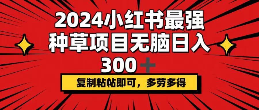 2024小红书最强种草项目，无脑日入300+，复制粘帖即可，多劳多得-选优云网创