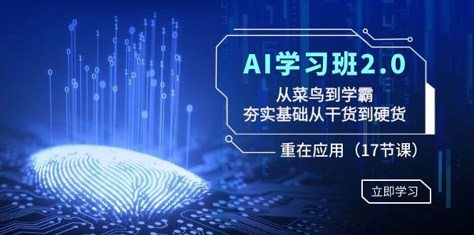 AI学习班2.0：从菜鸟到学霸，夯实基础从干货到硬货，重在应用（17节课）-选优云网创