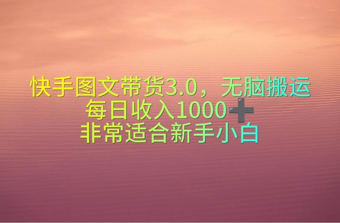 快手图文带货3.0，无脑搬运，每日收入1000＋，非常适合新手小白-选优云网创