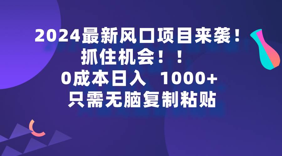 2024最新风口项目来袭，抓住机会，0成本一部手机日入1000+，只需无脑复...-选优云网创