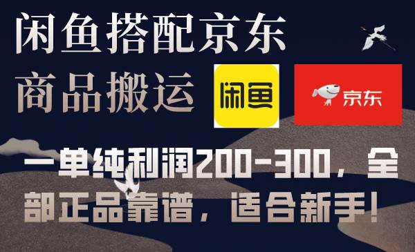 闲鱼搭配京东备份库搬运，一单纯利润200-300，全部正品靠谱，适合新手！-选优云网创