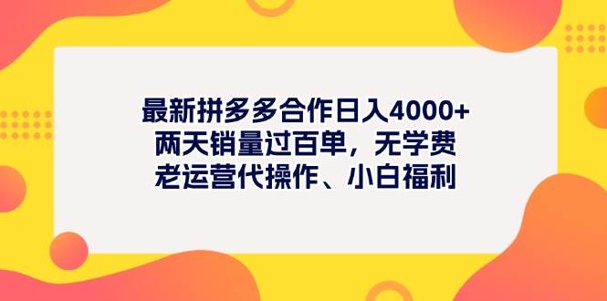 最新拼多多项目日入4000+两天销量过百单，无学费、老运营代操作、小白福利-选优云网创