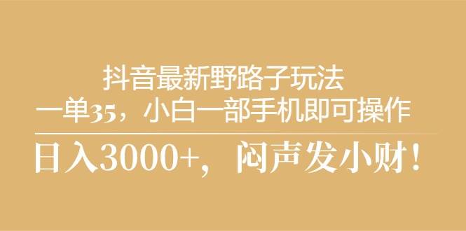 抖音最新野路子玩法，一单35，小白一部手机即可操作，，日入3000+，闷…-选优云网创