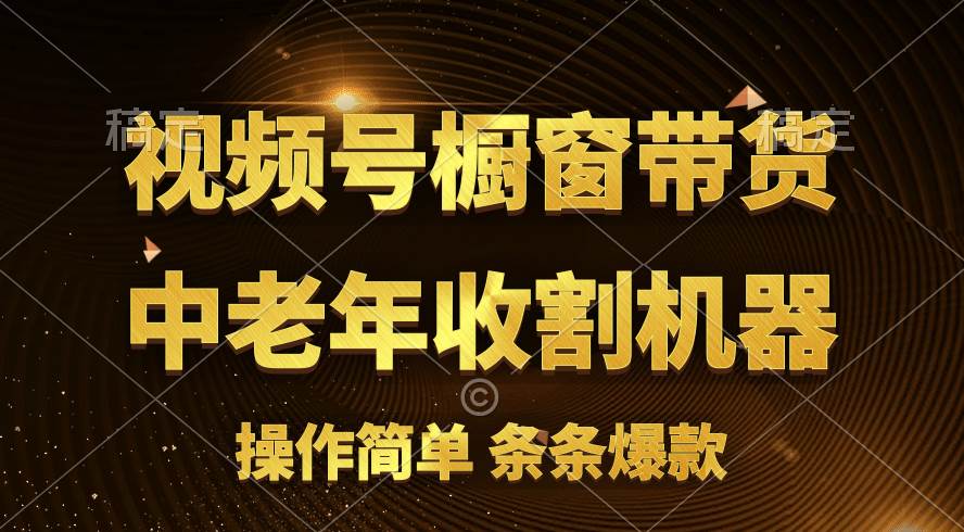 [你的孩子成功取得高位]视频号最火爆赛道，橱窗带货，流量分成计划，条...-选优云网创