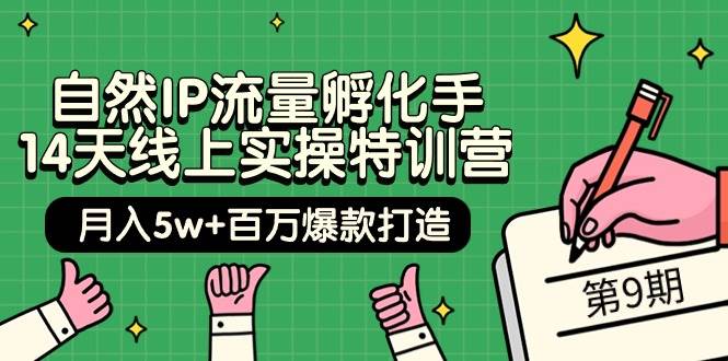 自然IP流量孵化手 14天线上实操特训营【第9期】月入5w+百万爆款打造 (74节)-选优云网创