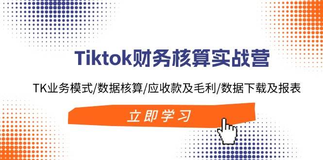 Tiktok财务核算实战营：TK业务模式/数据核算/应收款及毛利/数据下载及报表-选优云网创