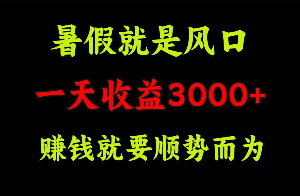 一天收益3000+ 赚钱就是顺势而为，暑假就是风口-选优云网创