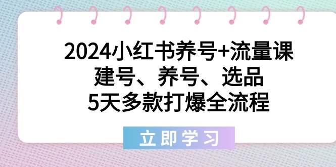 2024小红书养号+流量课：建号、养号、选品，5天多款打爆全流程-选优云网创