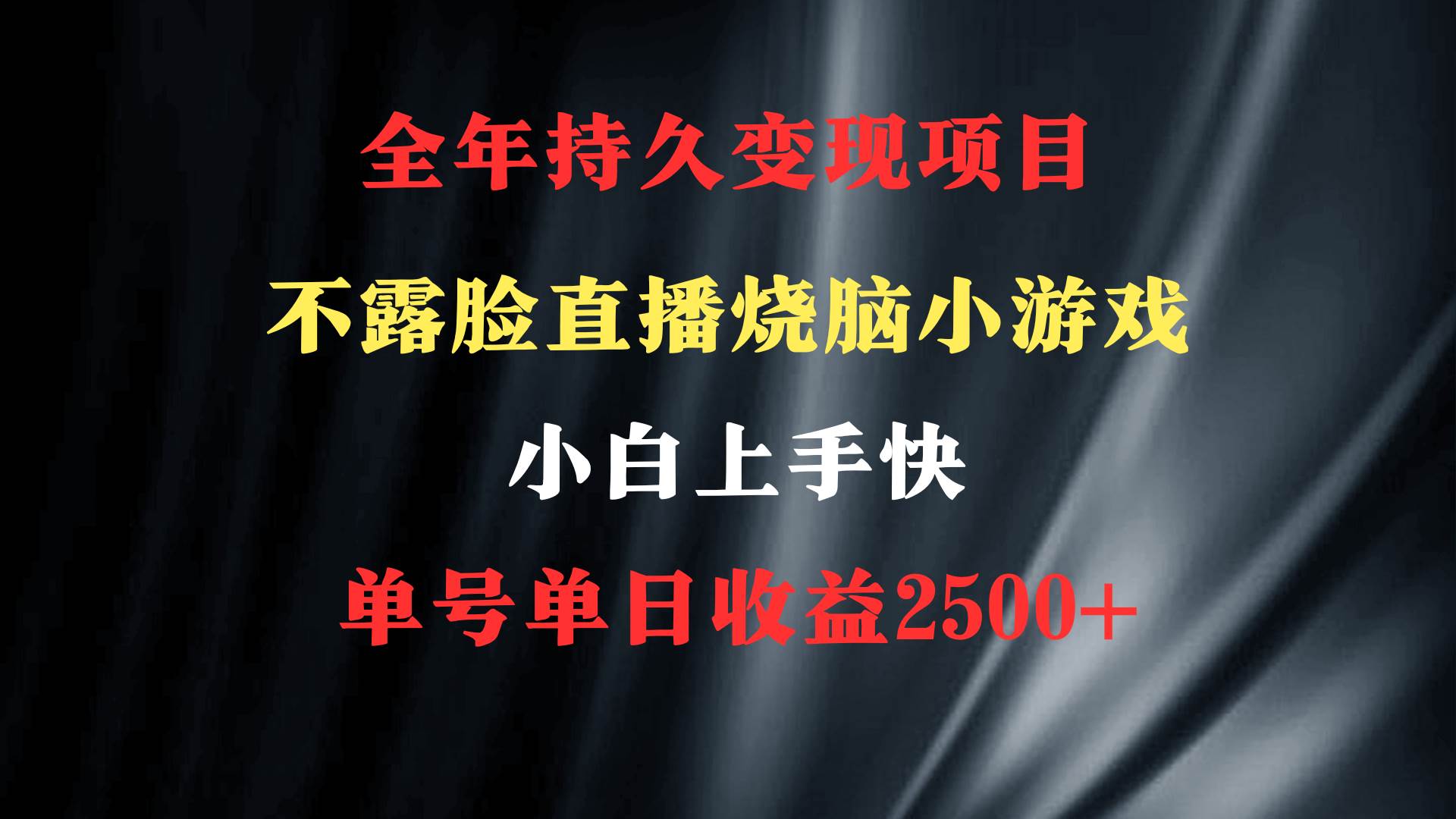 2024年 最优项目，烧脑小游戏不露脸直播  小白上手快 无门槛 一天收益2500+-选优云网创