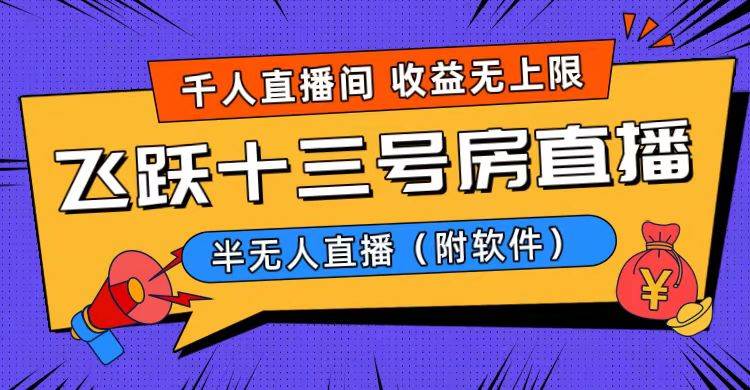 爆火飞跃十三号房半无人直播，一场直播上千人，日入过万！（附软件）-选优云网创