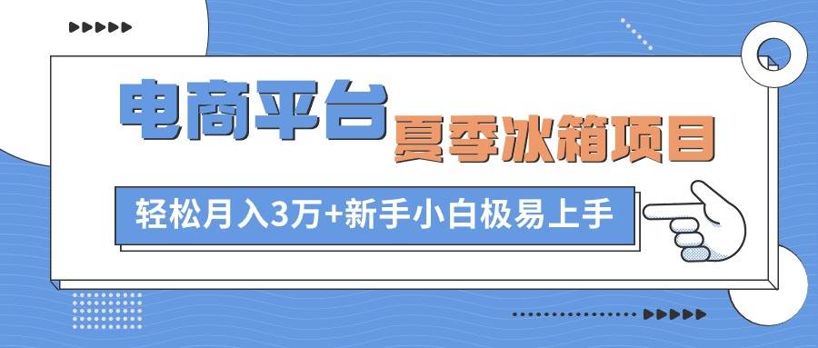 电商平台夏季冰箱项目，轻松月入3万+，新手小白极易上手-选优云网创