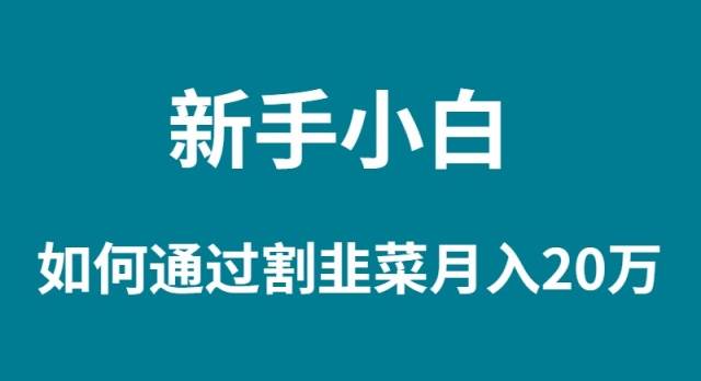 新手小白如何通过割韭菜月入 20W-选优云网创