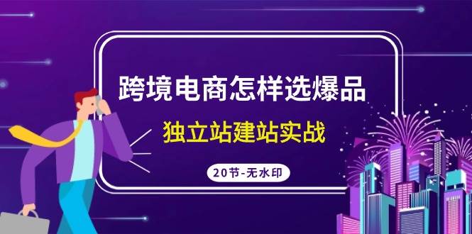 跨境电商怎样选爆品，独立站建站实战（20节高清无水印课）-选优云网创