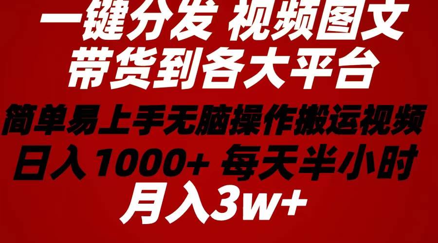 2024年 一键分发带货图文视频  简单易上手 无脑赚收益 每天半小时日入1...-选优云网创