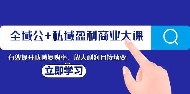 全域公+私域盈利商业大课，有效提升私域复购率，放大利润且持续变现-选优云网创