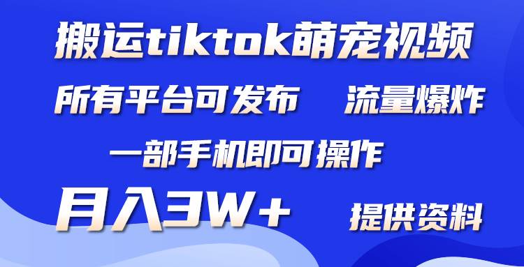 搬运Tiktok萌宠类视频，一部手机即可。所有短视频平台均可操作，月入3W+-选优云网创