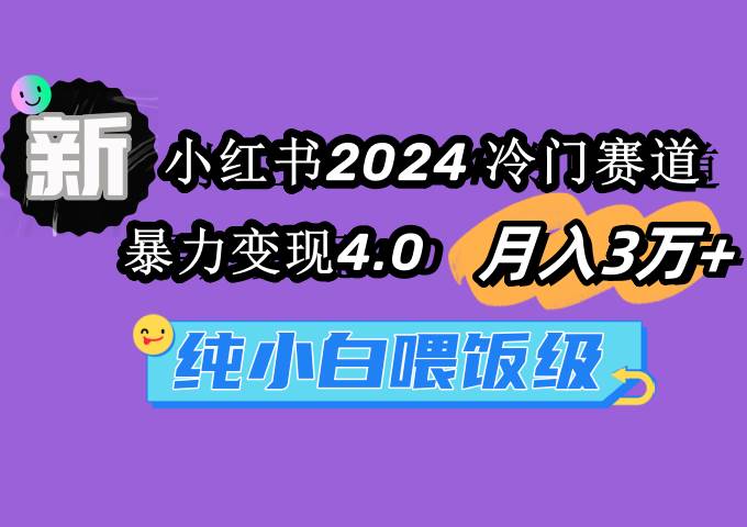 小红书2024冷门赛道 月入3万+ 暴力变现4.0 纯小白喂饭级-选优云网创