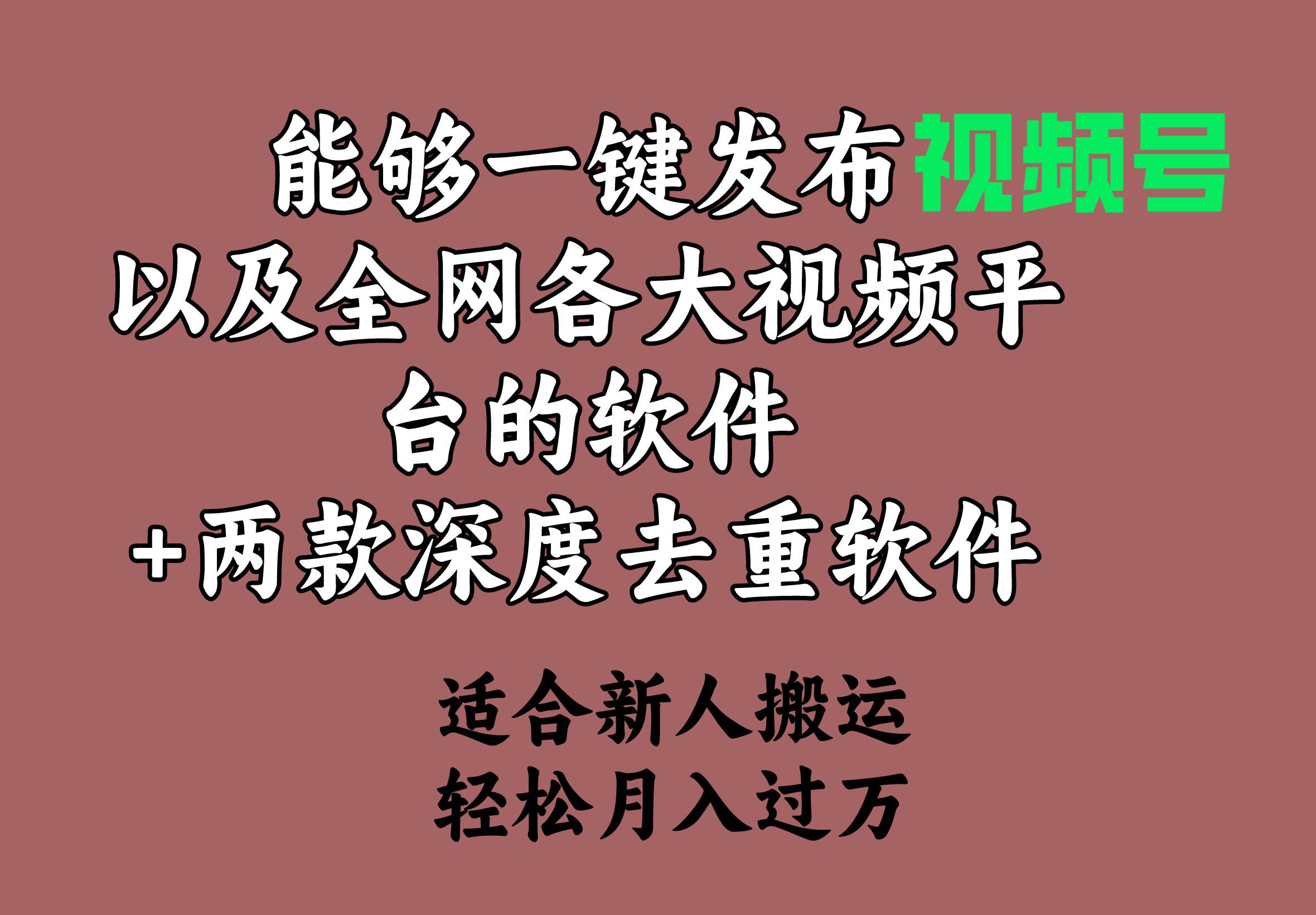 能够一键发布视频号以及全网各大视频平台的软件+两款深度去重软件 适合…-选优云网创