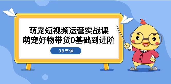 萌宠·短视频运营实战课：萌宠好物带货0基础到进阶（38节课）-选优云网创