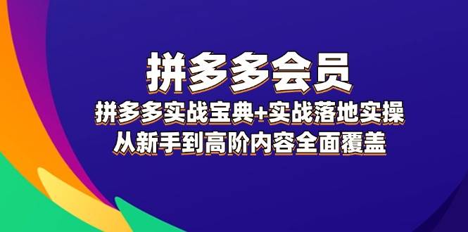 拼多多 会员，拼多多实战宝典+实战落地实操，从新手到高阶内容全面覆盖-选优云网创