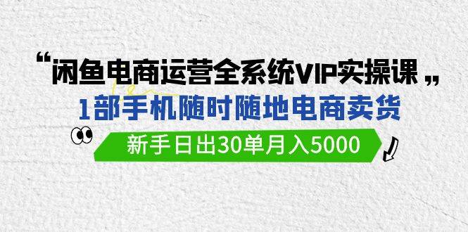 闲鱼电商运营全系统VIP实战课，1部手机随时随地卖货，新手日出30单月入5000-选优云网创