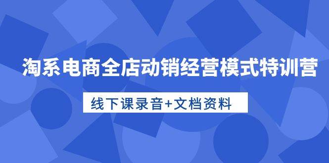 淘系电商全店动销经营模式特训营，线下课录音+文档资料-选优云网创