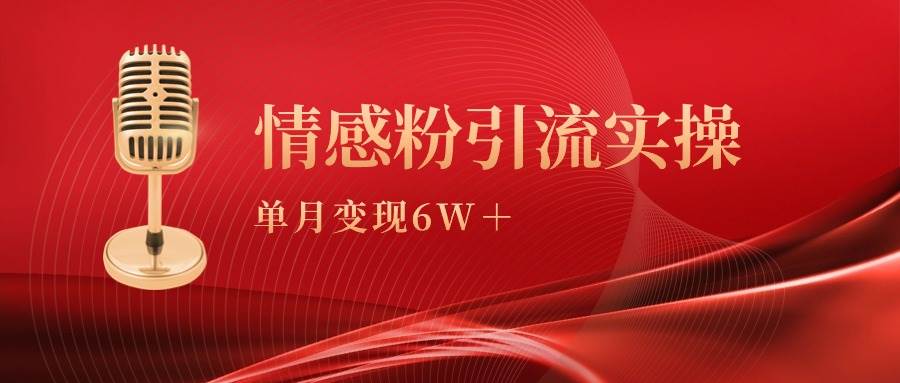 单月变现6w+，情感粉引流变现实操课-选优云网创