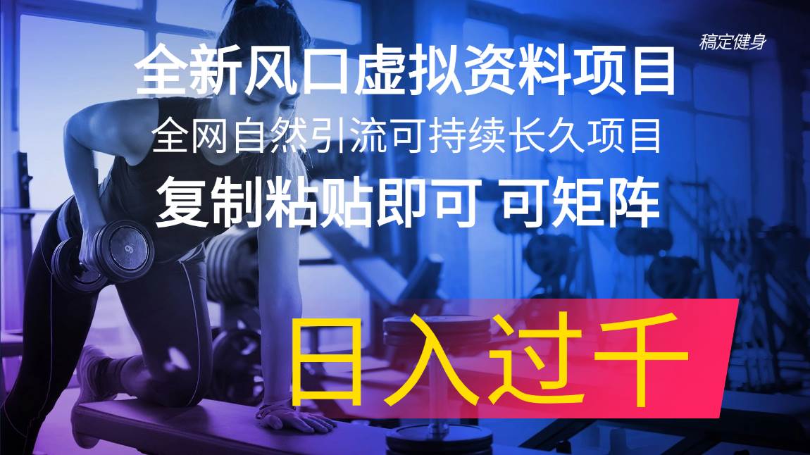 全新风口虚拟资料项目 全网自然引流可持续长久项目 复制粘贴即可可矩阵...-选优云网创