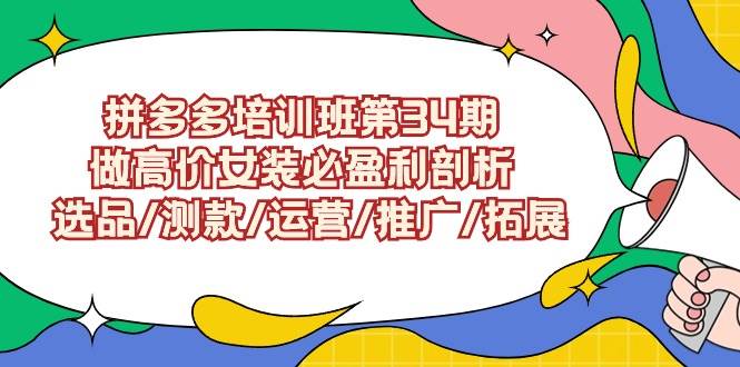 拼多多培训班第34期：做高价女装必盈利剖析  选品/测款/运营/推广/拓展-选优云网创