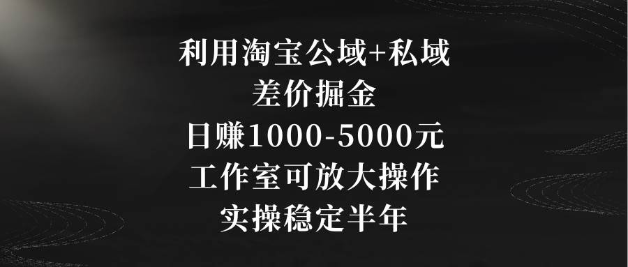 利用淘宝公域+私域差价掘金，日赚1000-5000元，工作室可放大操作，实操…-选优云网创