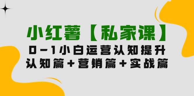 小红薯【私家课】0-1玩赚小红书内容营销，认知篇+营销篇+实战篇（11节课）-选优云网创