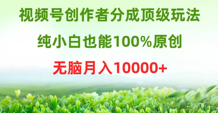 视频号创作者分成顶级玩法，纯小白也能100%原创，无脑月入10000+-选优云网创