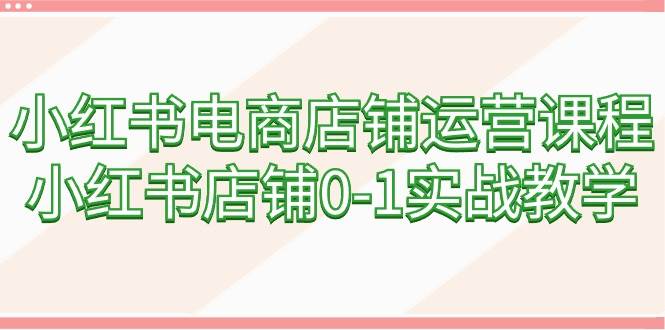 小红书电商店铺运营课程，小红书店铺0-1实战教学（60节课）-选优云网创