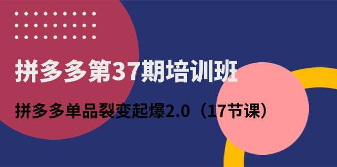 拼多多第37期培训班：拼多多单品裂变起爆2.0（17节课）-选优云网创