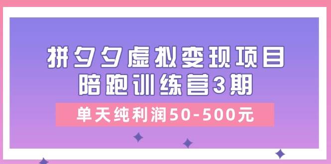 某收费培训《拼夕夕虚拟变现项目陪跑训练营3期》单天纯利润50-500元-选优云网创