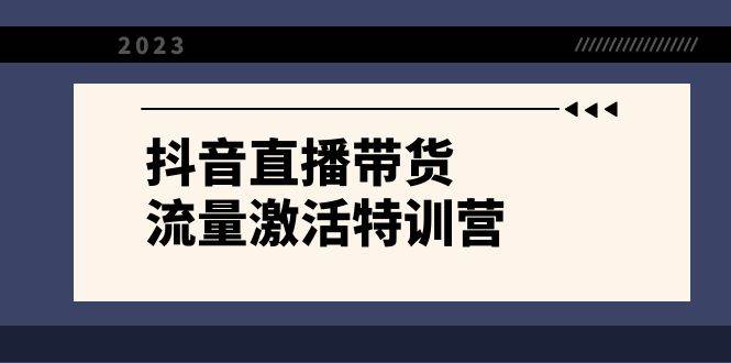 抖音直播带货-流量激活特训营，入行新手小白主播必学（21节课+资料）-选优云网创