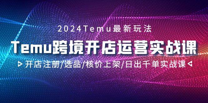 2024Temu跨境开店运营实战课，开店注册/选品/核价上架/日出千单实战课-选优云网创