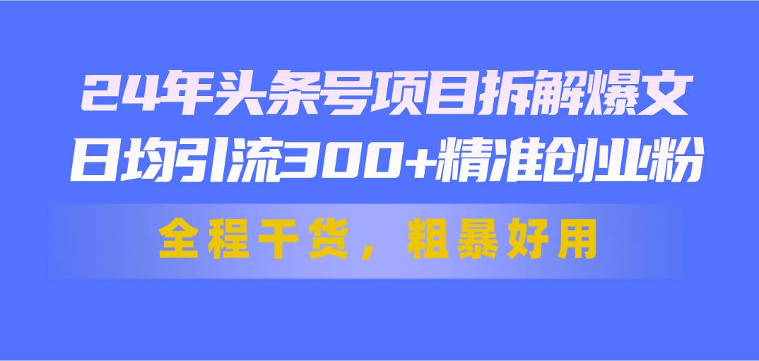 24年头条号项目拆解爆文，日均引流300+精准创业粉，全程干货，粗暴好用-选优云网创