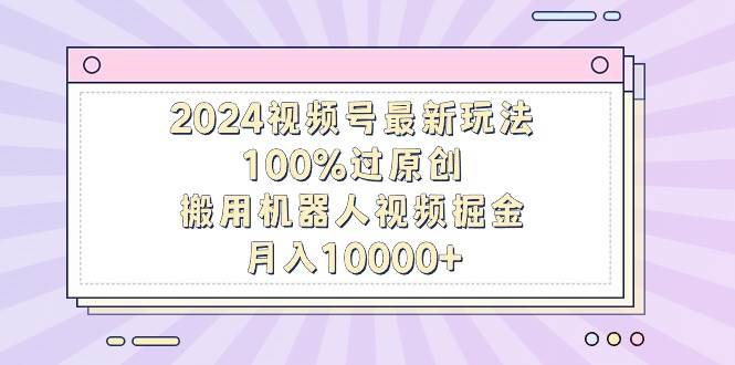 2024视频号最新玩法，100%过原创，搬用机器人视频掘金，月入10000+-选优云网创