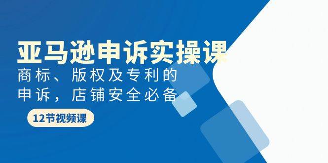 亚马逊-申诉实战课，商标、版权及专利的申诉，店铺安全必备-选优云网创