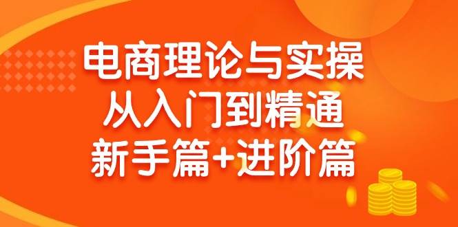 电商理论与实操从入门到精通 新手篇+进阶篇-选优云网创