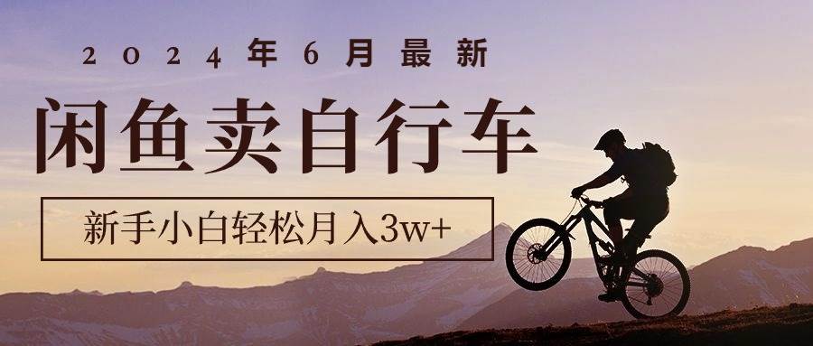 2024年6月最新闲鱼卖自行车，新手小白轻松月入3w+项目-选优云网创