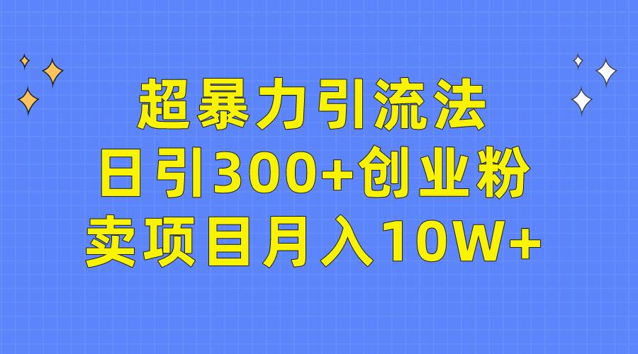 超暴力引流法，日引300+创业粉，卖项目月入10W+-选优云网创